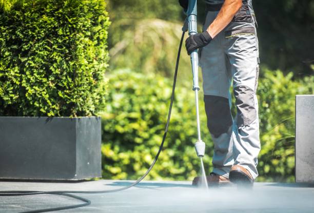 Best Sign and Awning Cleaning  in White Oak, MS