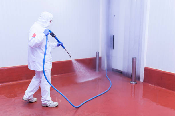 Best Sidewalk and Walkway Cleaning  in White Oak, MS