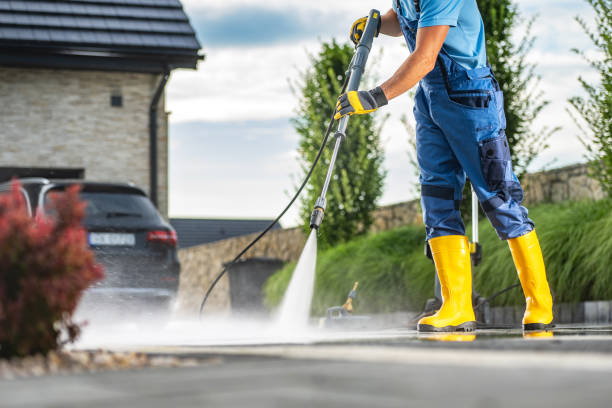 Best Soft Washing  in White Oak, MS